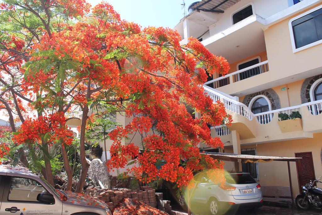 Dolphin House Otel Puerto Baquerizo Moreno Dış mekan fotoğraf